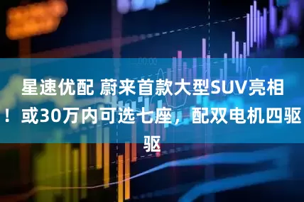 星速优配 蔚来首款大型SUV亮相！或30万内可选七座，配双电机四驱