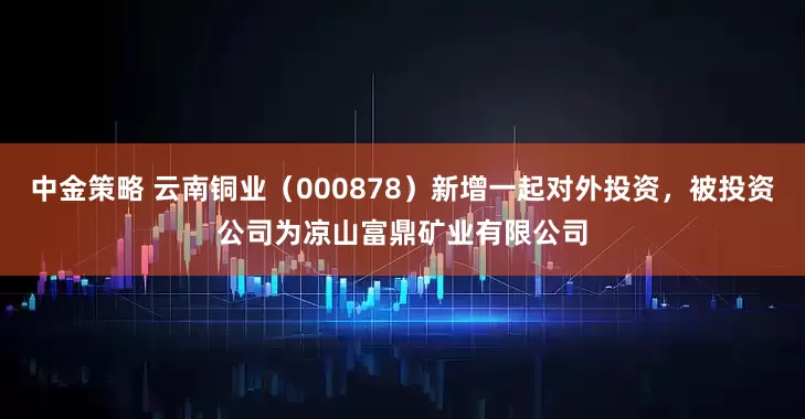 中金策略 云南铜业（000878）新增一起对外投资，被投资公司为凉山富鼎矿业有限公司