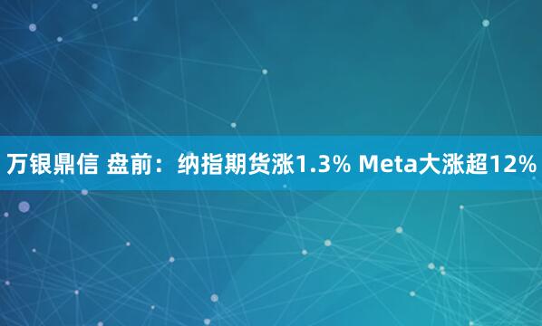 万银鼎信 盘前：纳指期货涨1.3% Meta大涨超12%