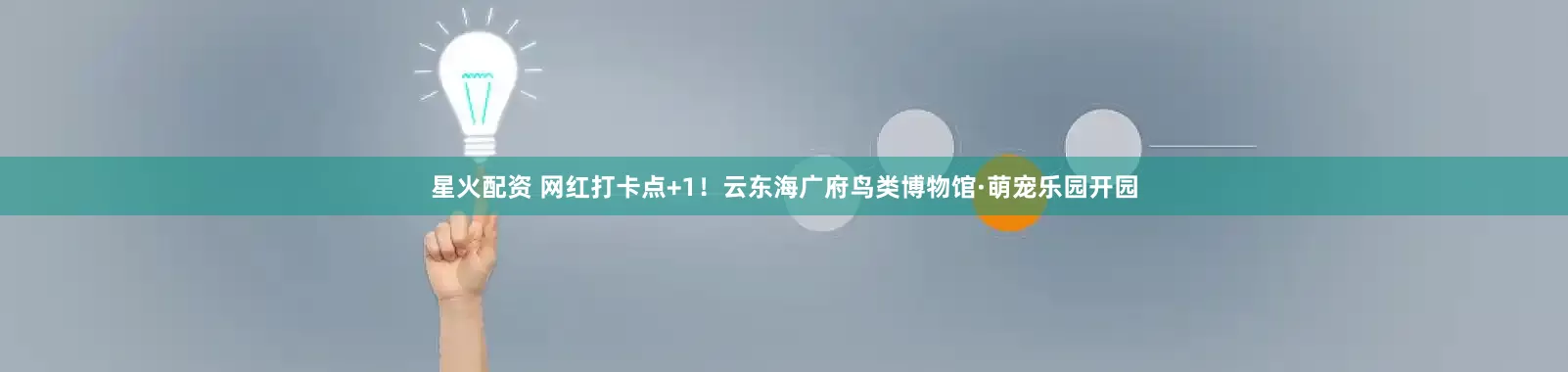 星火配资 网红打卡点+1!云东海广府鸟类博物馆·萌宠乐园开园
