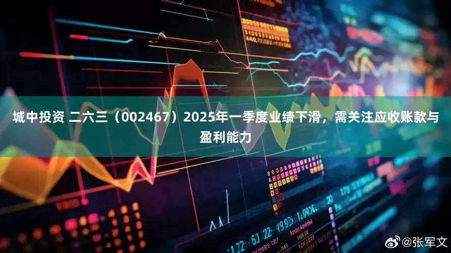 城中投资 二六三(002467)2025年一季度业绩下滑,需关注应收账款与盈利能力