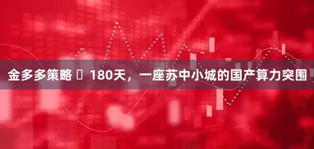 金多多策略 ​180天，一座苏中小城的国产算力突围
